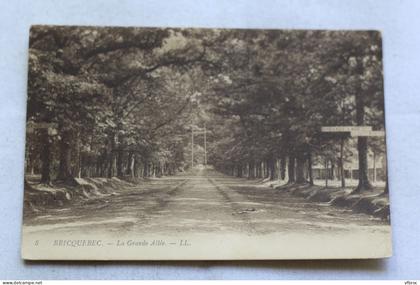 Bricquebec, la grande allée, Manche 50