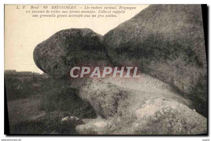 CPA Brignogan Les rochers curieux
