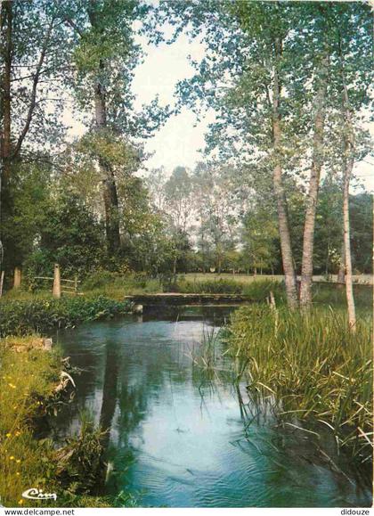 Carte Postale - 79 - Brioux sur Boutonne - Un coin du Marais - CPM - Voir Scans Recto-Verso - Poscard - Carta Postal -