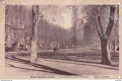26 / BUIS LES BARONNIES / PROMENADE DES PLATANES