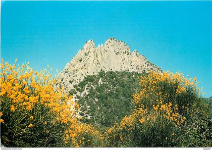 CPM Buis les Baronnies Rocher Saint Julien