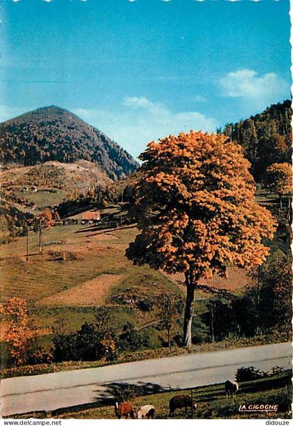 Carte Postale - 88 - Bussang - Pâturages au Col de Bussang - Moutons - Carte Neuve - CPM - Voir Scans Recto-Verso - Posc