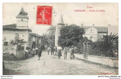 AYCP11-1116-81 - CADALEN - Avenue de gaillac