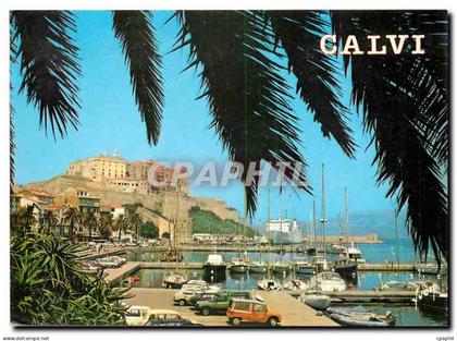 CPM La Corse Oasis de Beaute Calvi Corse