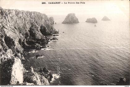 Camaret sur Mer - La Pointe des Pois - CPA