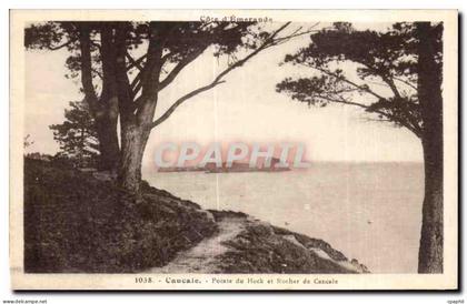 CPA Cancale Pointe du Hock et Rocher de Cancale