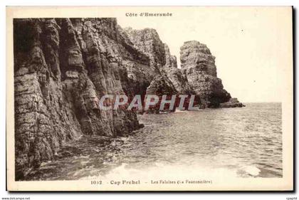 CPA Cap Frehel Les falaises (la fauconnerie)
