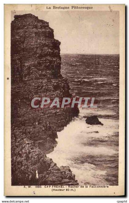 CPA Cap Frehel Rocher de la Fauconniere