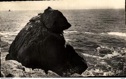 CPSM La Grande Cote Etude de Rochers L Ours polaire