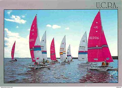 Carte Postale - 33 - Carcans - Maubuisson - Le Centre U.C.P.A de Bombannes - Catamarans - Voiles - CPM - Voir Scans Rect