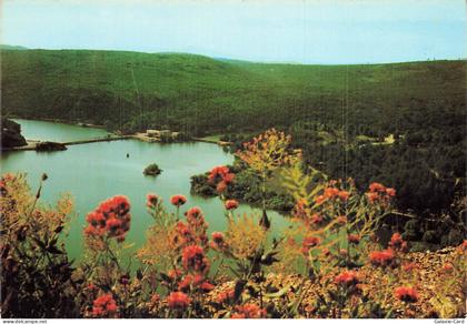 83 CARCES LAC DE CARCES