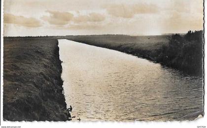 CPA CARENTAN "CONTRE-JOUR SUR LE MARAIS"