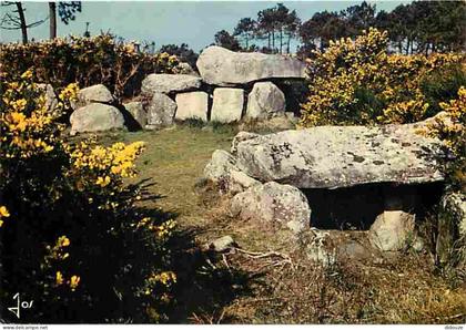 56 - Carnac - Alignements mégalithiques de Mané-Kerioned près de Carnac - Menhirs - CPM - Voir Scans Recto-Verso