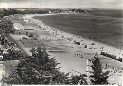 CPM Carnac Plage ( Morbihan) Bretagne la Grande Plage de Carnac
