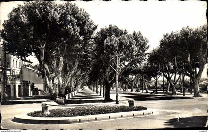 CPA Carpentras Les Allees Jean Jaures