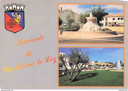 34 CASTELNAU LE LEZ FONTAINE ET PARC