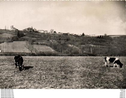 1 cpsm Castelnau rivière basse - vue générale