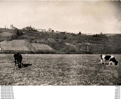 1 cpsm Castelnau rivière basse - vue générale