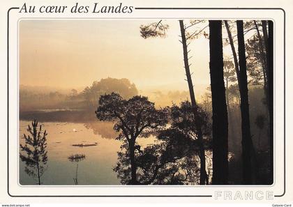 40 CASTETS VISAGES DES LANDES