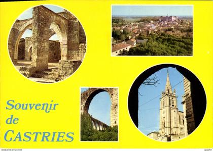 CPSM Souvenir De Castries