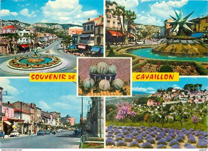 CPM Souvenir de Cavaillon