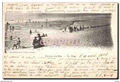 CPA Cayeux sur Mer Les Plage