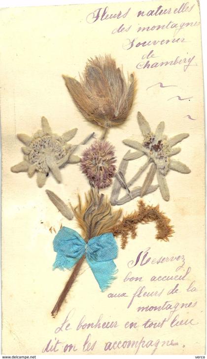 Carte postale ancienne de CHAMBERY