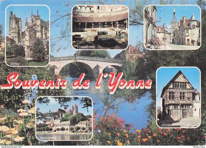 89 CHAMPS SUR YONNE SOUVENIR DE L YONNE