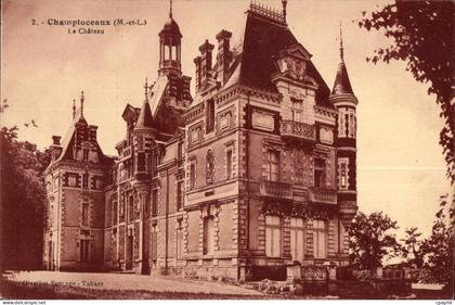 CPA Champtoceaux Le Chateau