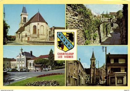 Chanteloup les vignes "multi vues"