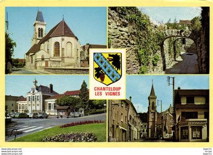 Chanteloup les vignes "multi vues"