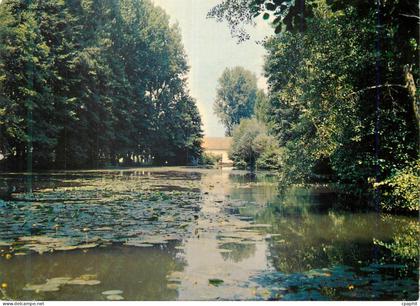 CPM Charny Yonne Les bords de l Ouanne