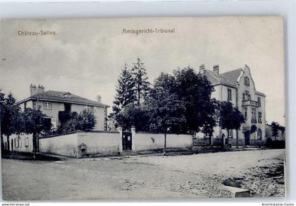 51487924 - Chateau-Salins