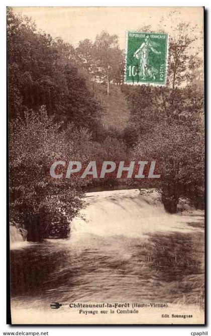 CPA Chateauneuf la Foret Paysage Sur La Combade
