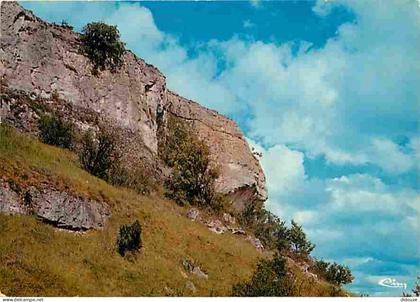 Carte Postale - 16 - Chateauneuf sur Charente - La Font-qui-pisse - Carte Neuve - CPM - Voir Scans Recto-Verso - Poscard
