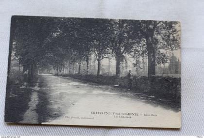 Châteauneuf sur Charente, la chaussée, Charente 16