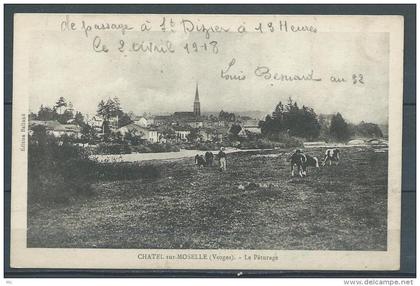 88 - Chatel-sur-Moselle (vosges) - Le Paturage