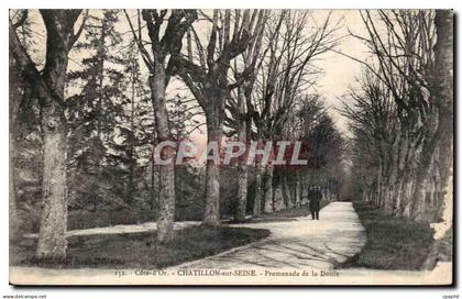 CPA Chatillon sur Seine Promenade de la Douix