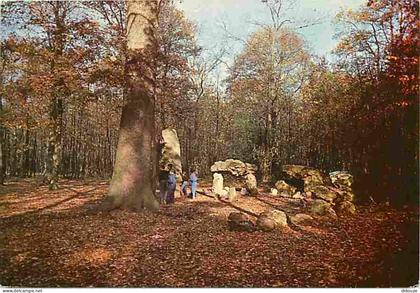 Carte Postale - 92 - Chaville - Le Bois de Chaville - CPM - Voir Scans Recto-Verso - Poscard - Carta Postal -  Postkarte