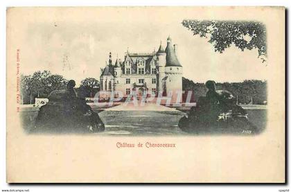 CPA Chateau de Chenonceaux