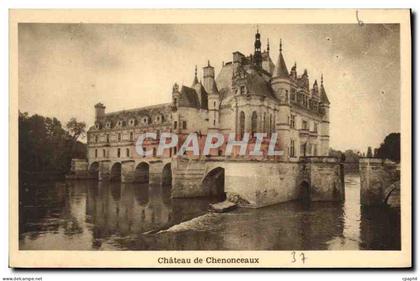 CPA Chateau de Chenonceaux