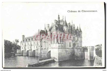 CPA Chateau de Chenonceaux