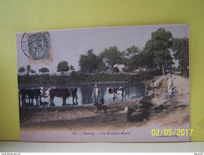 CHEROY (YONNE) LES VACHES. LA GRANDE MARE.
