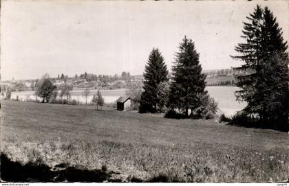 Clairvaux les Lacs - Les Bords du Grand Lac - CPA