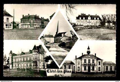 37 - CLERE-LES-PINS - MULTIVUES