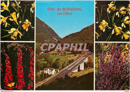 CPM Entre les Vosges et l'Alsace Col de Bussang et Fleurs vosgiennes