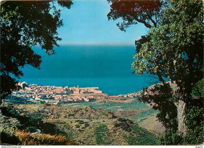 CPM Collioure P O Vue panoramique