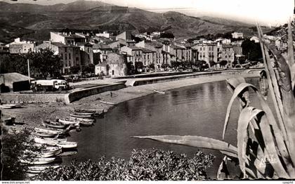 CPSM Collioure Le Plage du Faubourg