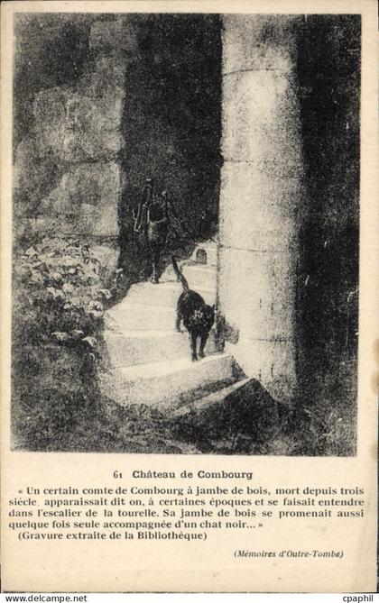 CPA Chateau de Combourg Chat