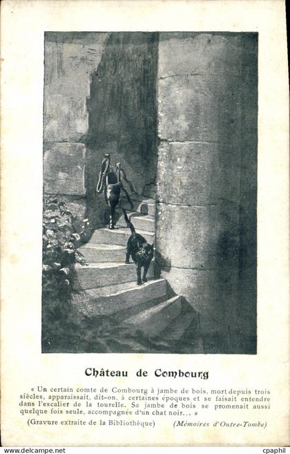 CPA Combourg Chateau Chat